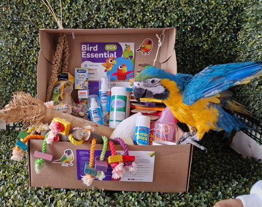 Parrot Basic Box