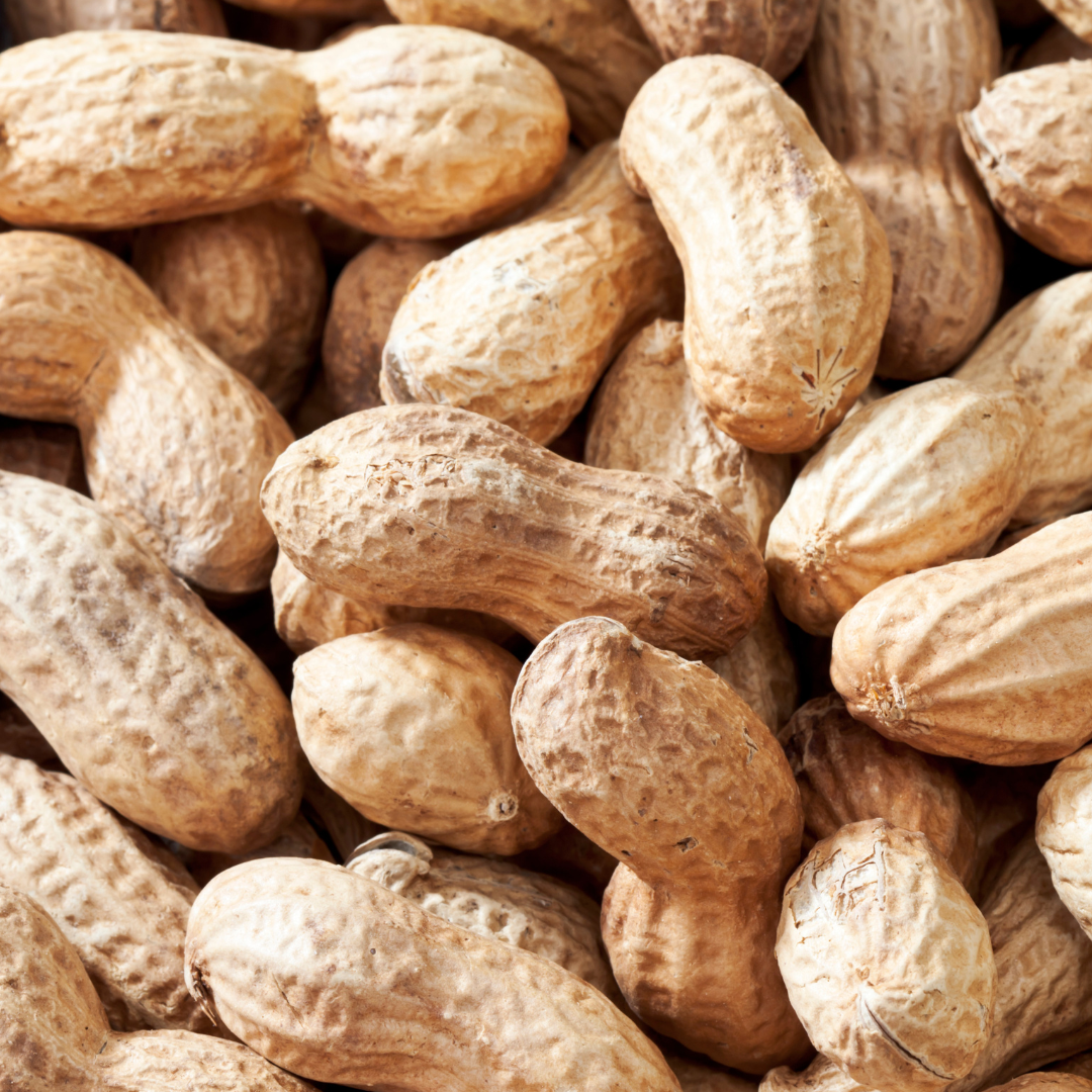 Peanuts in Shells - Monkey Nuts 1kg