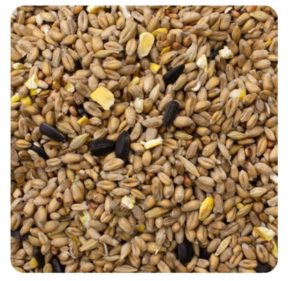 Wild Bird Seed Mix 4kg