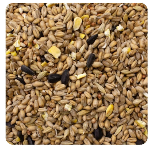 Wild Bird Seed Mix 4kg