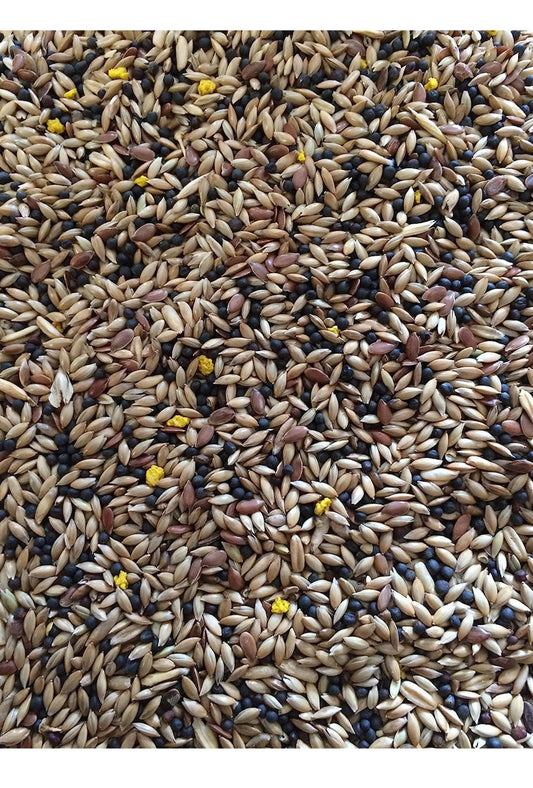 1kg Canary Seed Mix