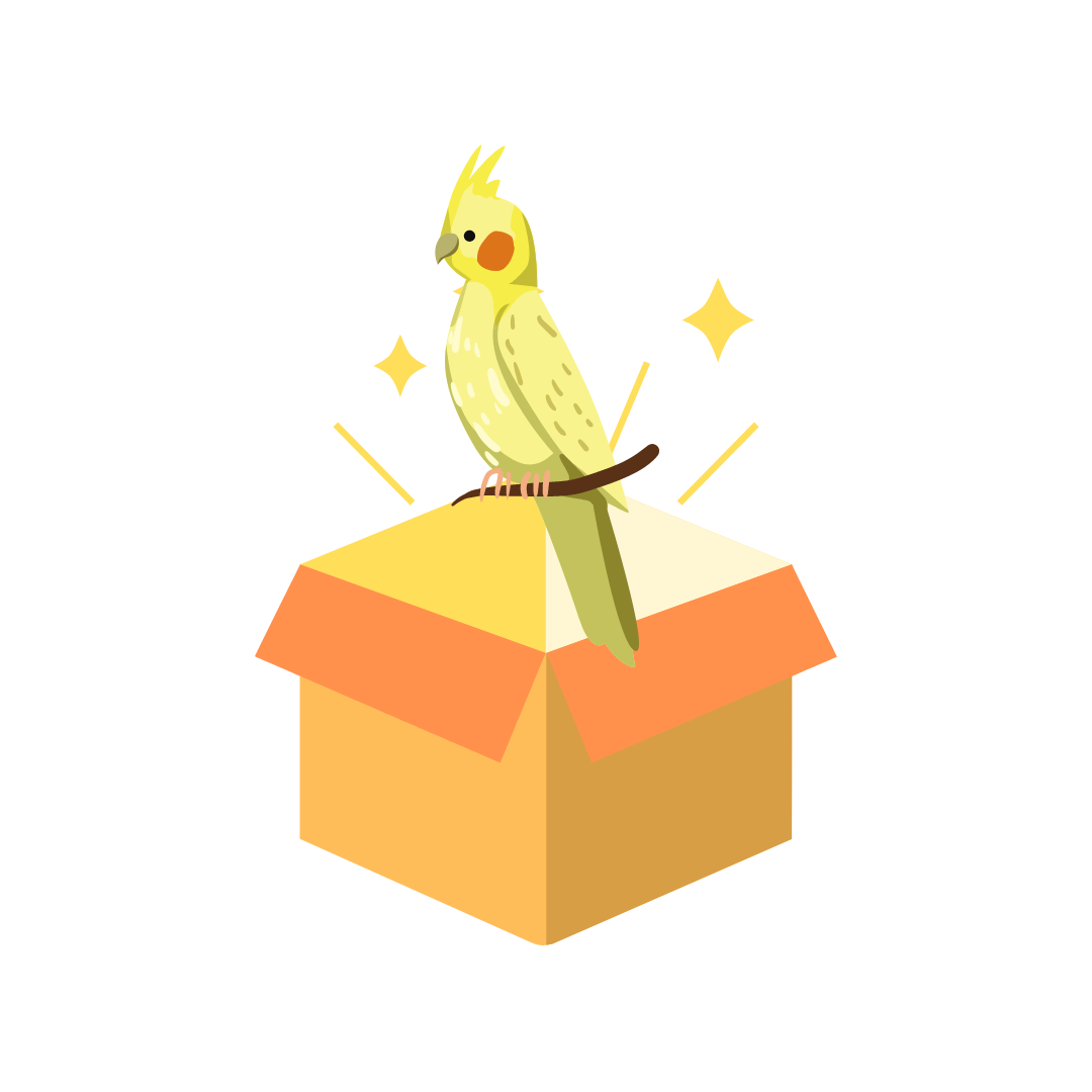 Essential Cockatiel Box (Medium Birds)