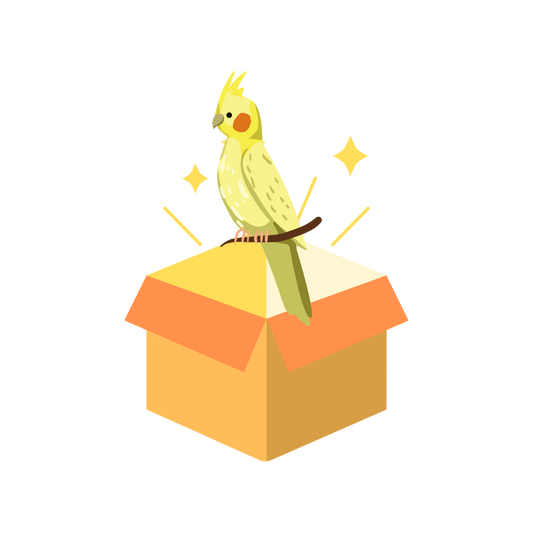 Essential Cockatiel Box (Medium Birds)