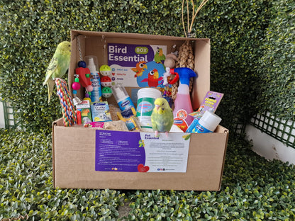 Essential Budgie Box (Small Birds)